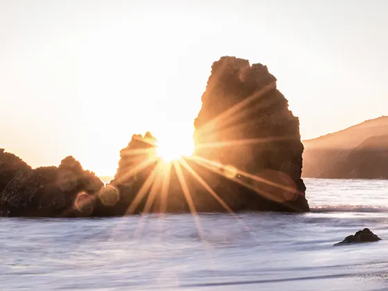Mindfulness Matters